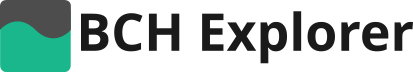BCH Explorer